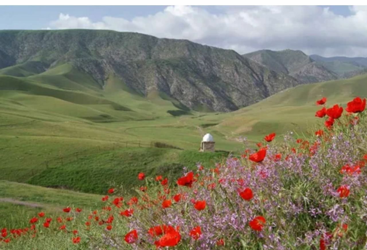 Узбекистан Ферганская Долина холмы