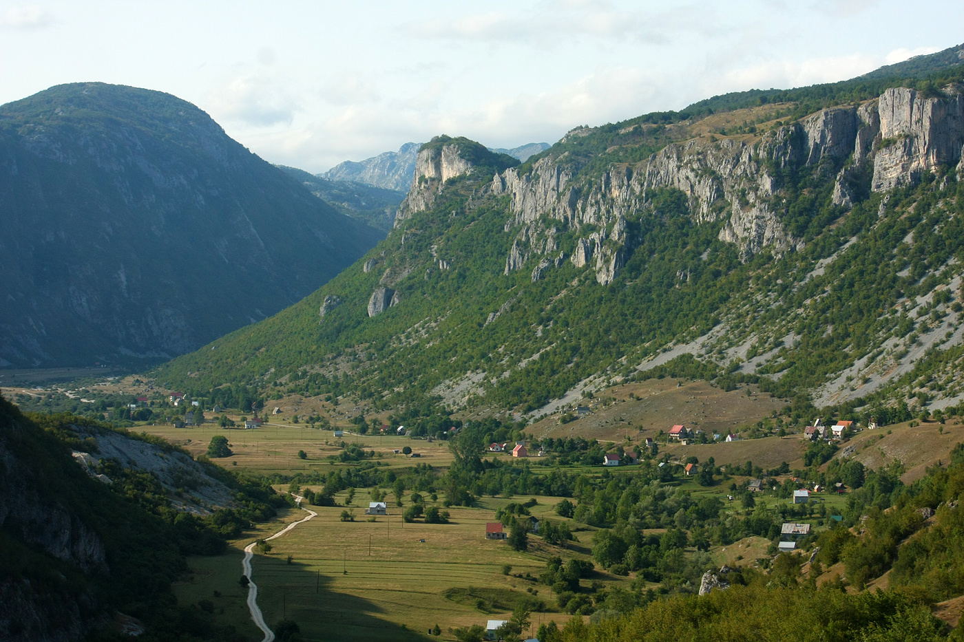 Луковица гора Черногория