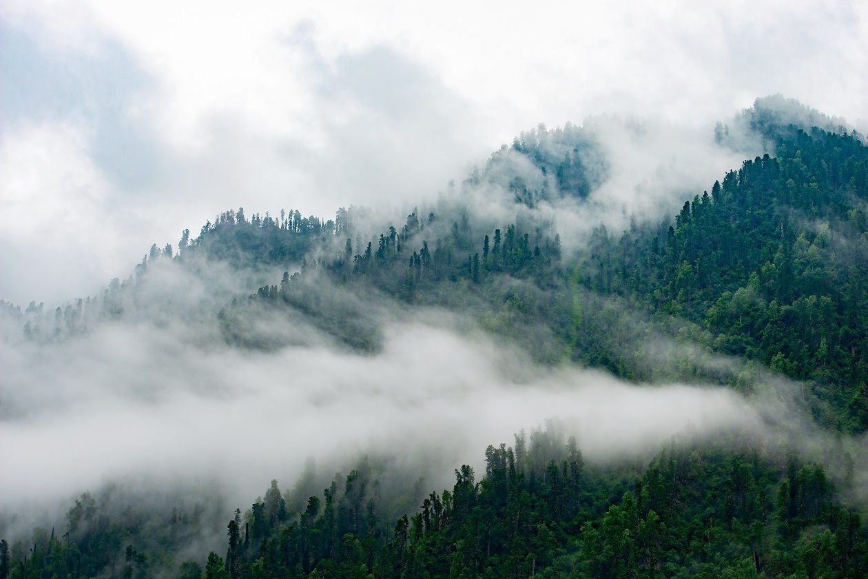 Горы в тумане фото в высоком качестве
