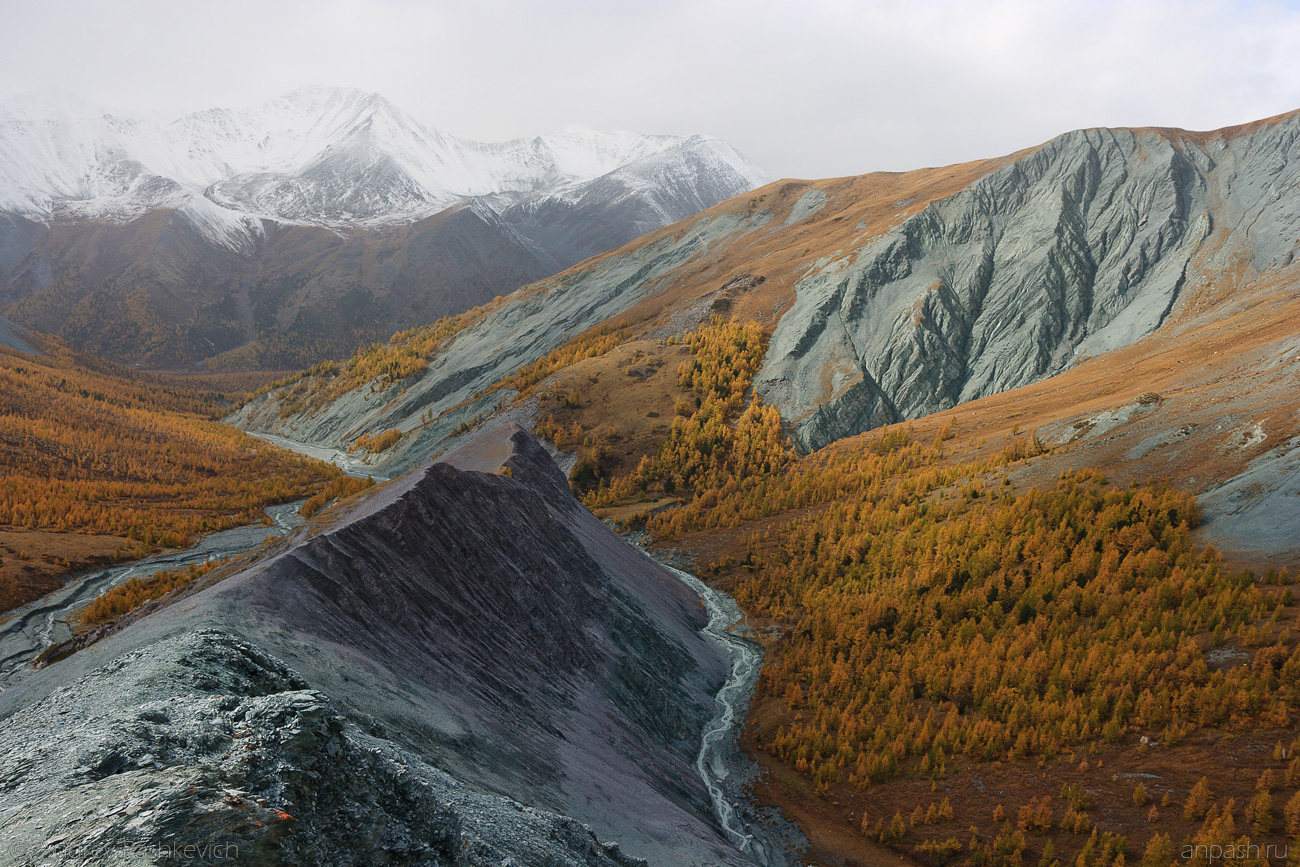 Природное наследие золотых гор алтая. Золотые горы Алтая Алтайские горы. Золотые горы Алтая всемирное наследие ЮНЕСКО. ООПТ золотые горы Алтая. Долина Ярлу горный Алтай.