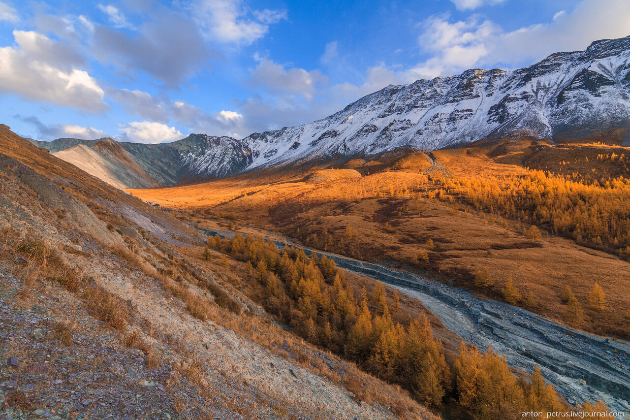 Золотая гора фото. Долина Ярлу горный Алтай. Золотые горы Алтая. Золотые Алтайские горы ЮНЕСКО. Долина Ярлу Катунский заповедник.