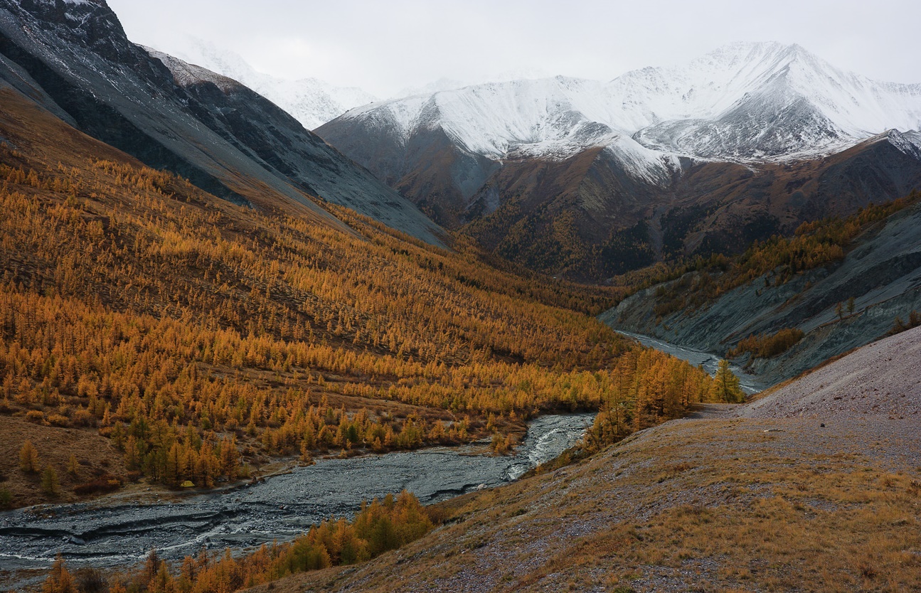 Золотые горы Алтая Алтайские горы