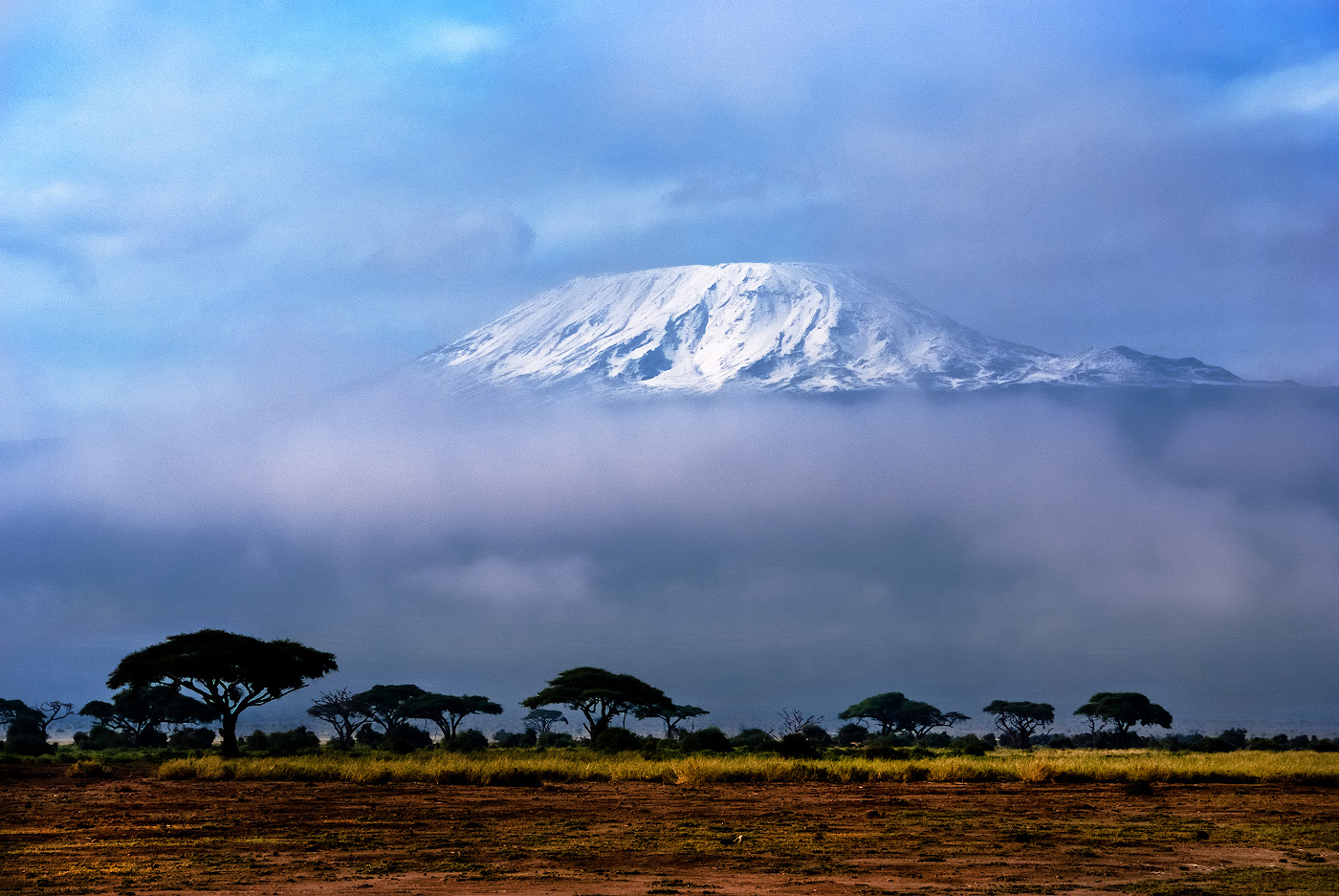 Национальный парк Танзании Килиманджаро