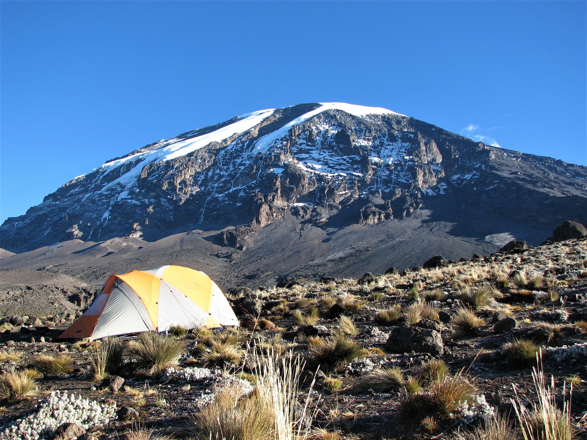 Килиманджаро фото с вершины