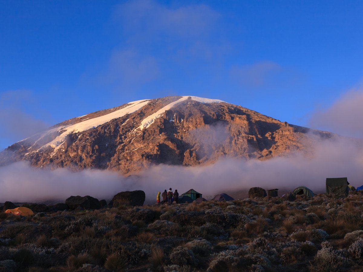 Вершина спящего вулкана Килиманджаро