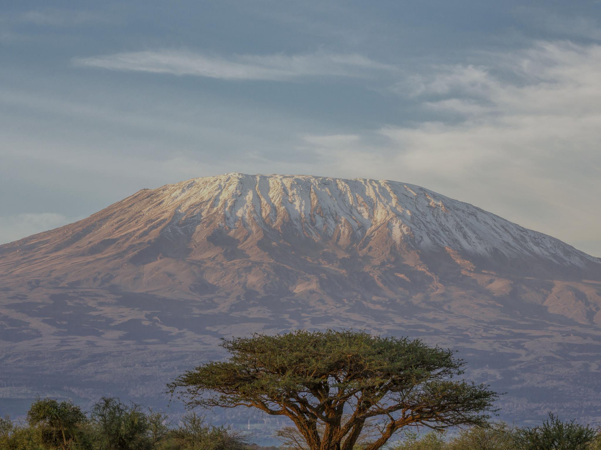 Вершина горы Килиманджаро