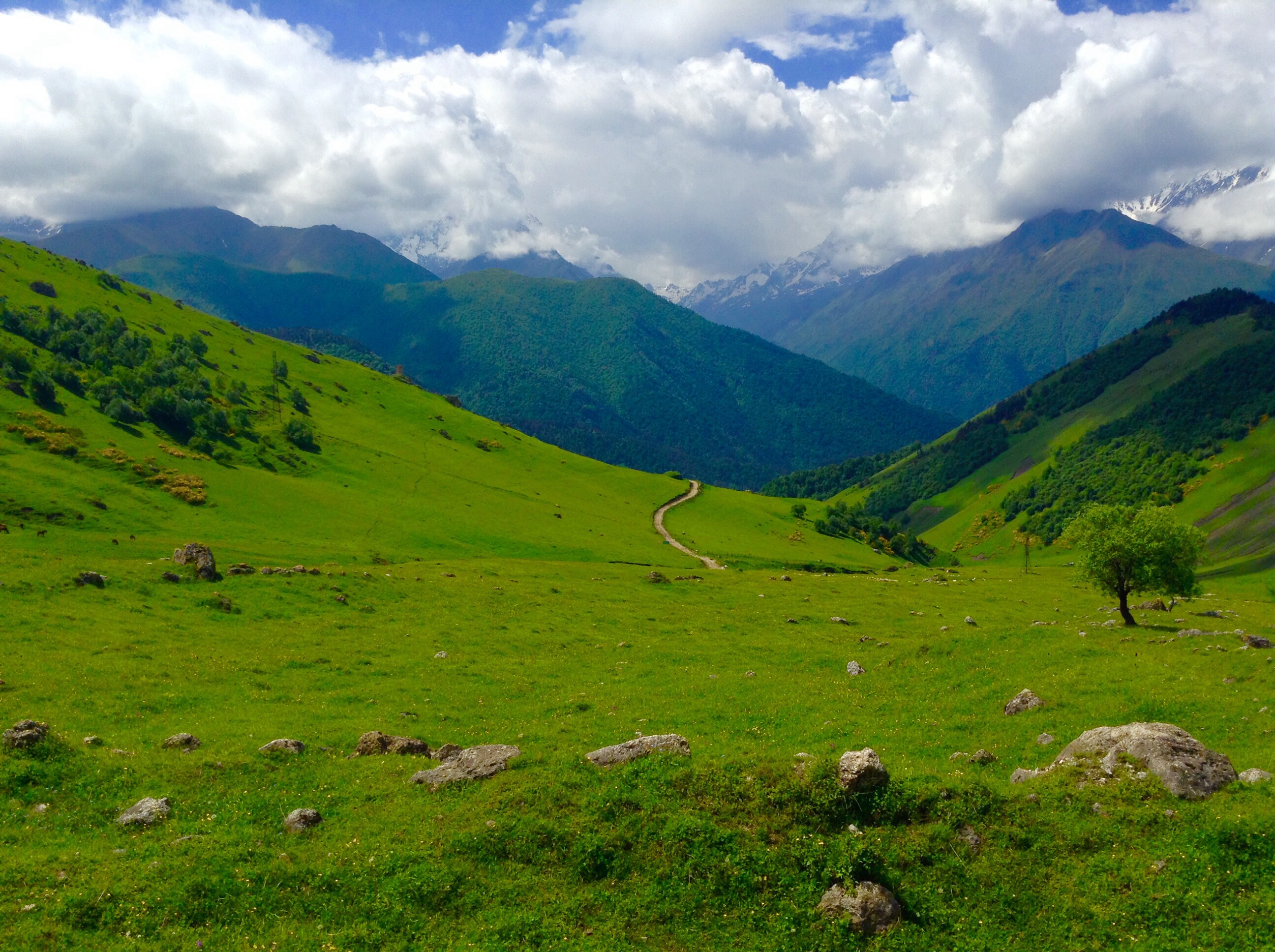 Горы Чеченской Республики