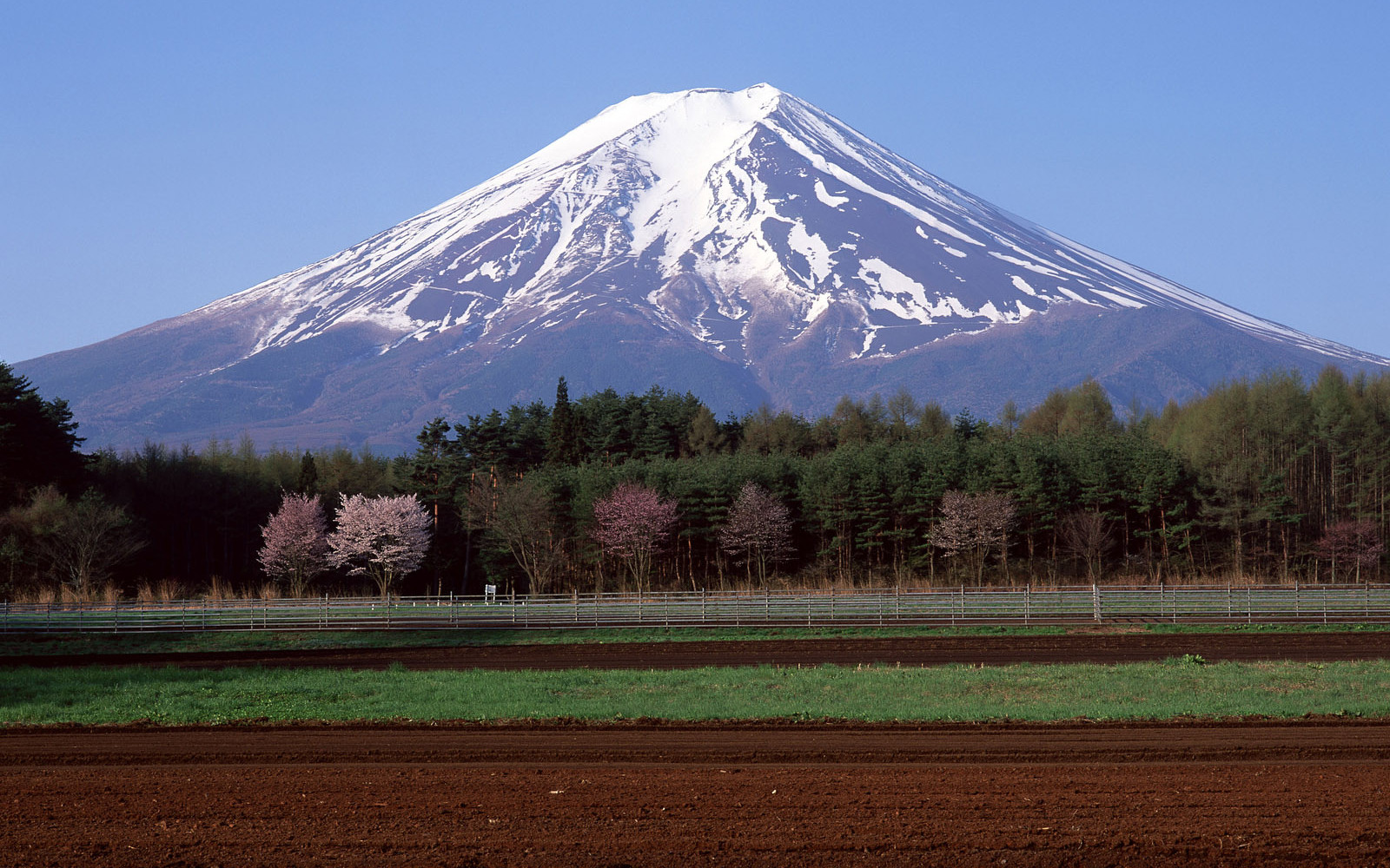 Остров хонсю 5 букв сканворд. Гора Фудзияма в Японии. Фудзи-Сан - Священная гора японцев. Гора Fuji Япония. Гора Фудзи это вулкан.
