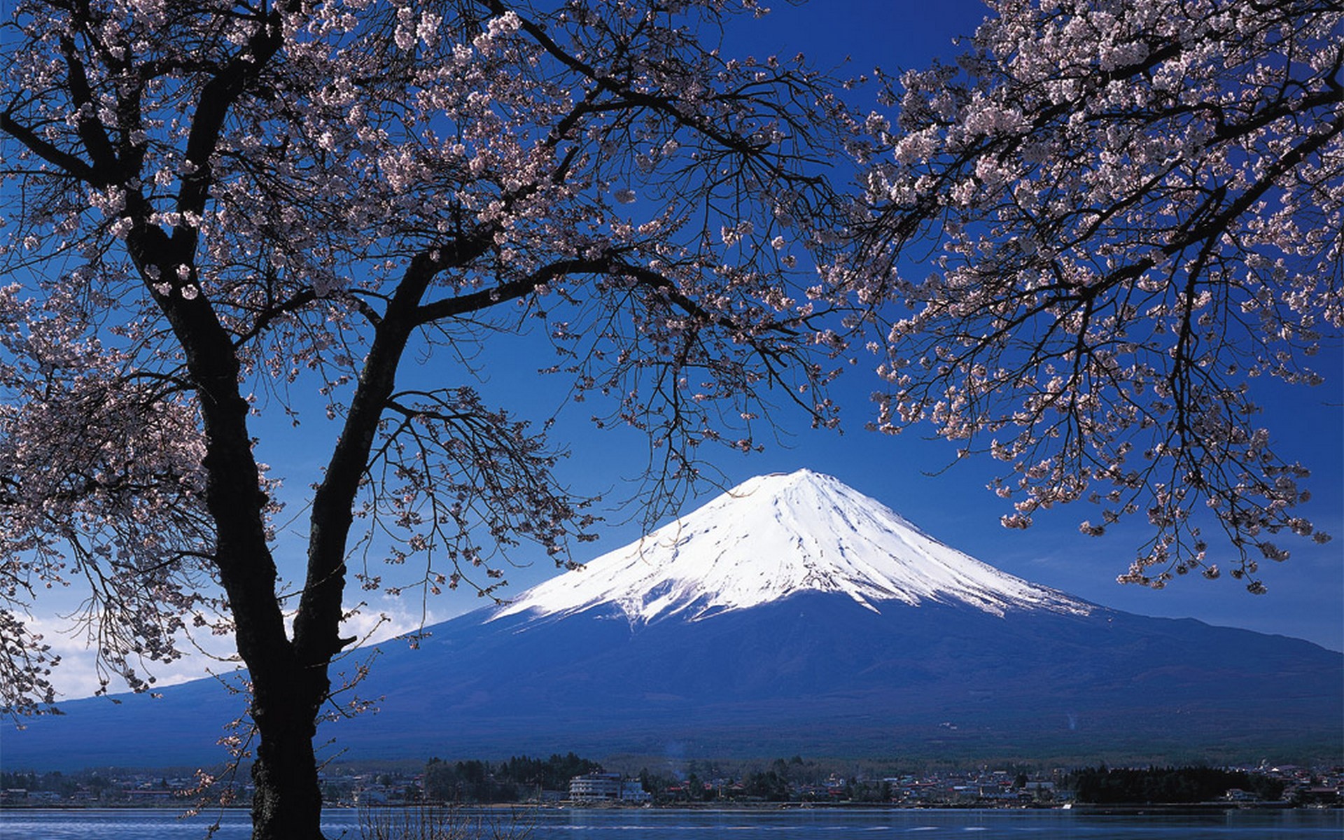 3 фудзияма. Фудзияма Япония. Гора Фудзияма в Японии. Токио вулкан Фудзияма. Гора Фудзи в Японии.