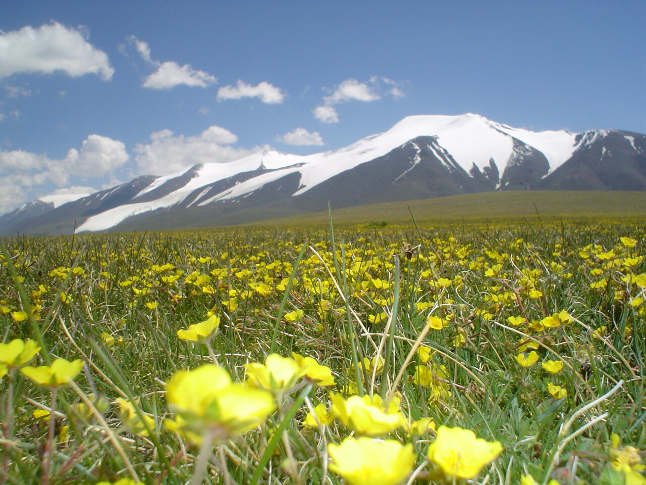 Национальный парк Цамбагарав Монголия