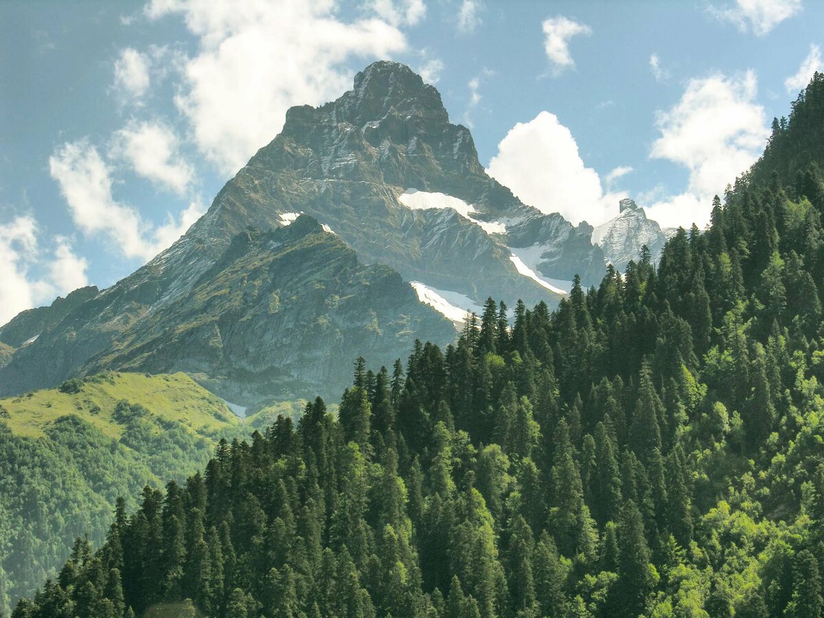 Природа России горы Кавказ