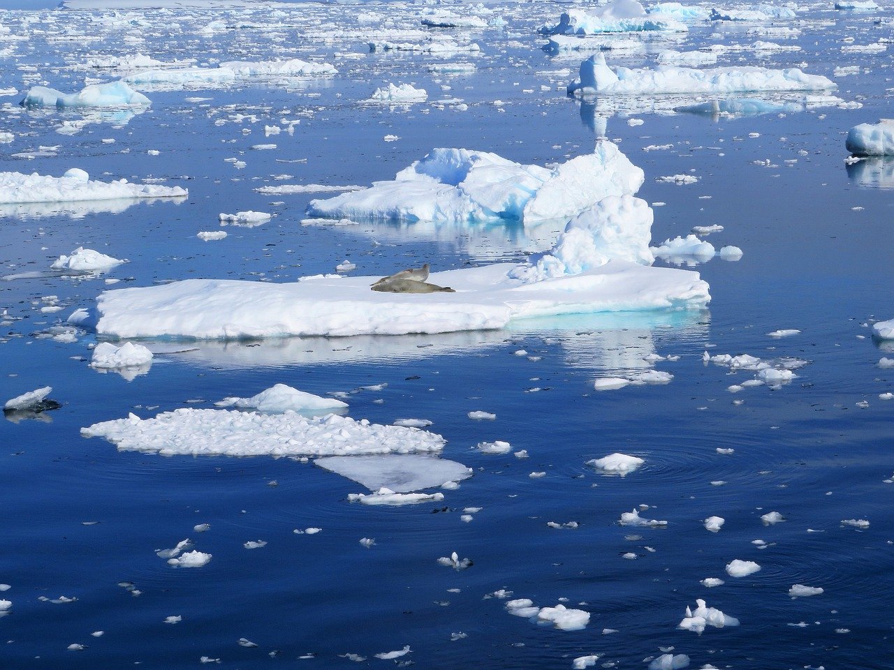 Лед 5 букв на т. Южный океан плавучие льды. Льдины в Антарктиде. Арктика льдины. Льдина в море.