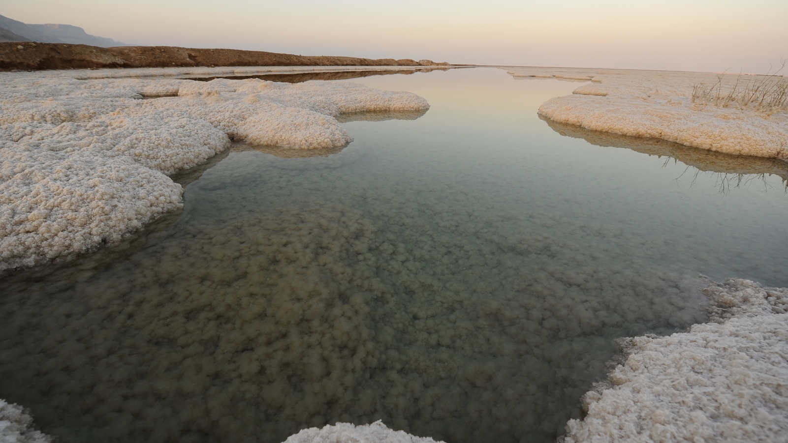 Отложения в озерах. Обмеление мертвого моря. Береговая линия мертвого моря. Экосистема мертвого моря.