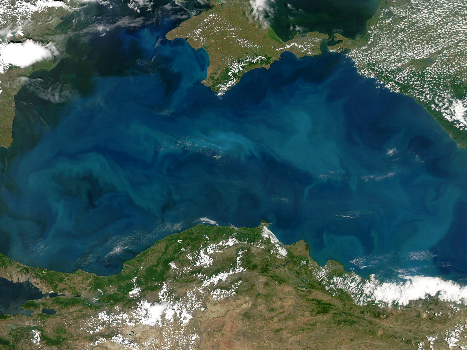 Черное море со спутника