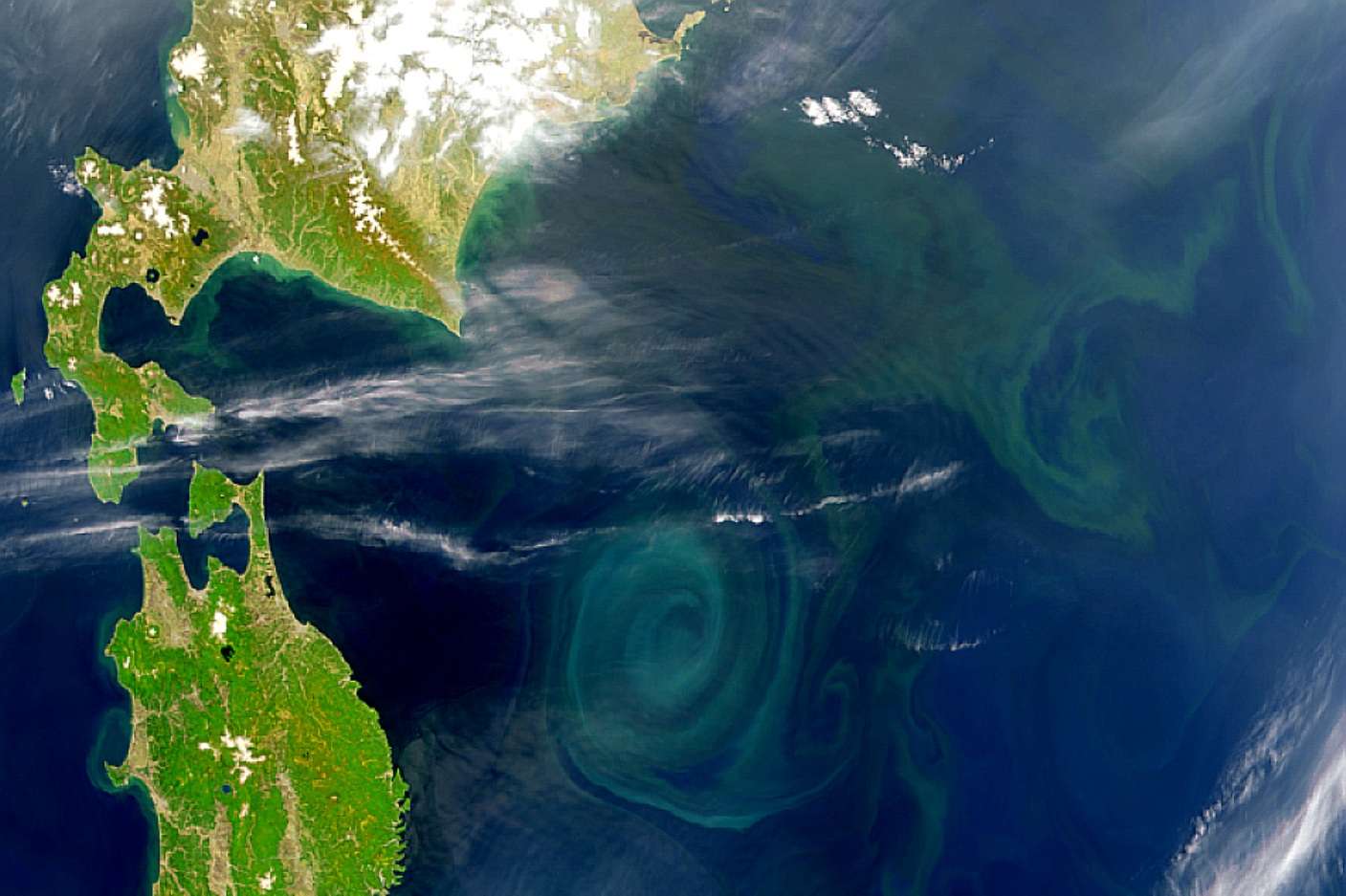 фото из космоса мусорного острова в тихом океане