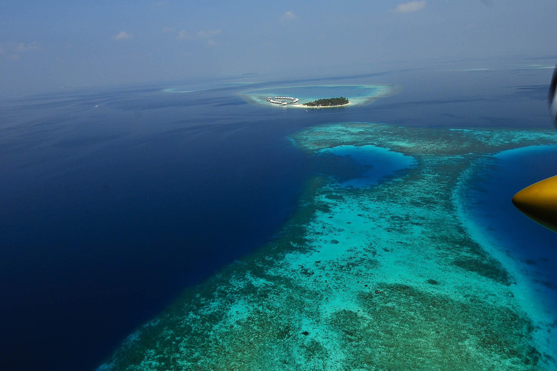 Ари Атолл Мальдивы пляжи