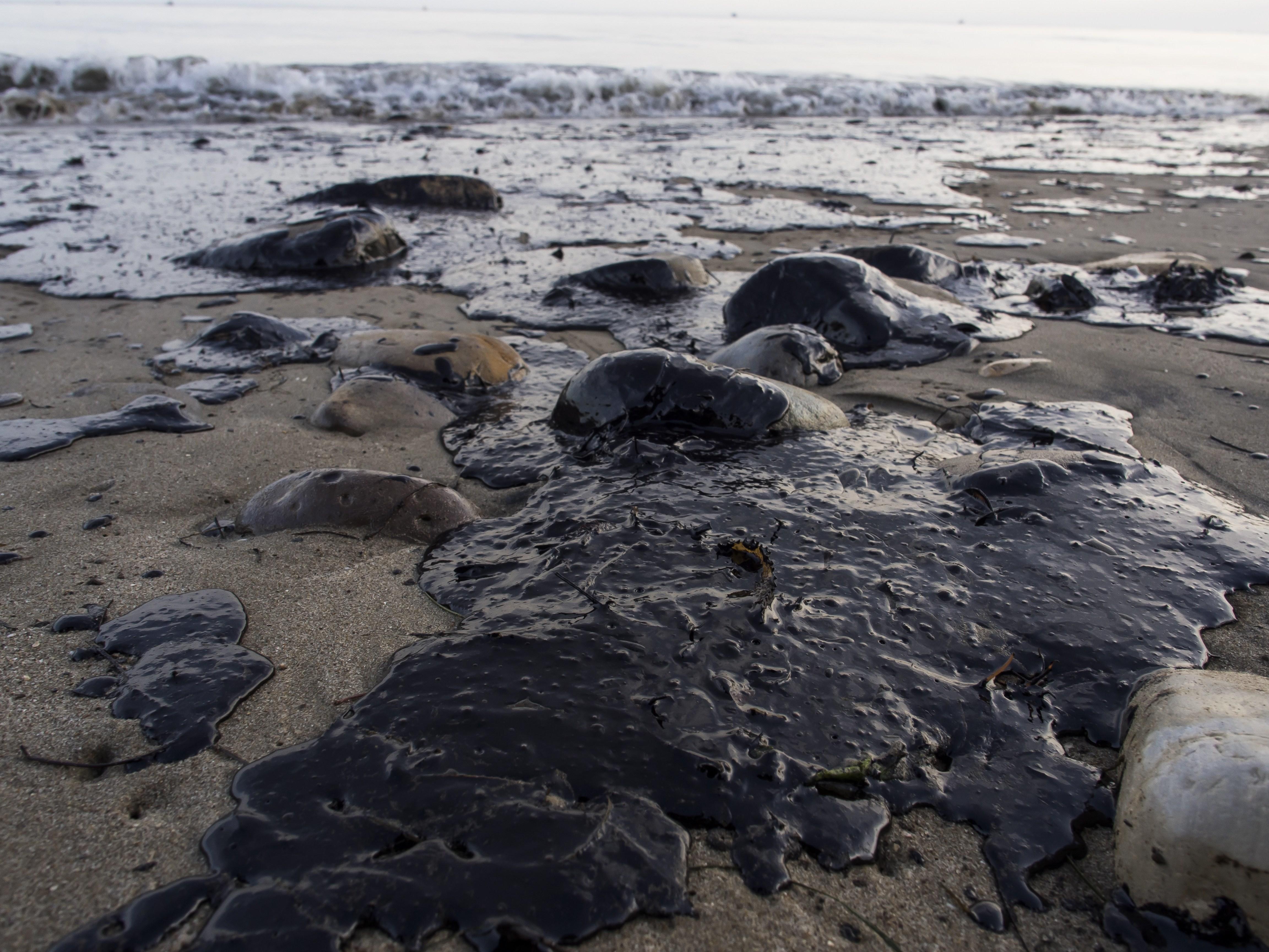 Потерпевшие северного. Черное море загрязнено нефтепродуктами. Разлив нефти в Санта Барбаре. Экологическая катастрофа 1969 Санта Барбара. Экологическая катастрофа в море разлив нефти.