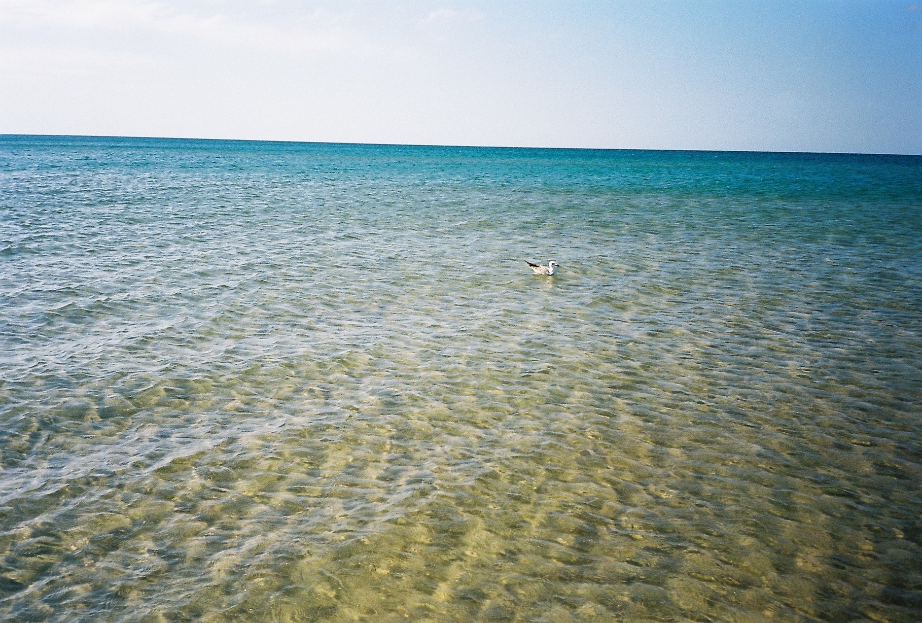 Черное море анапа фото