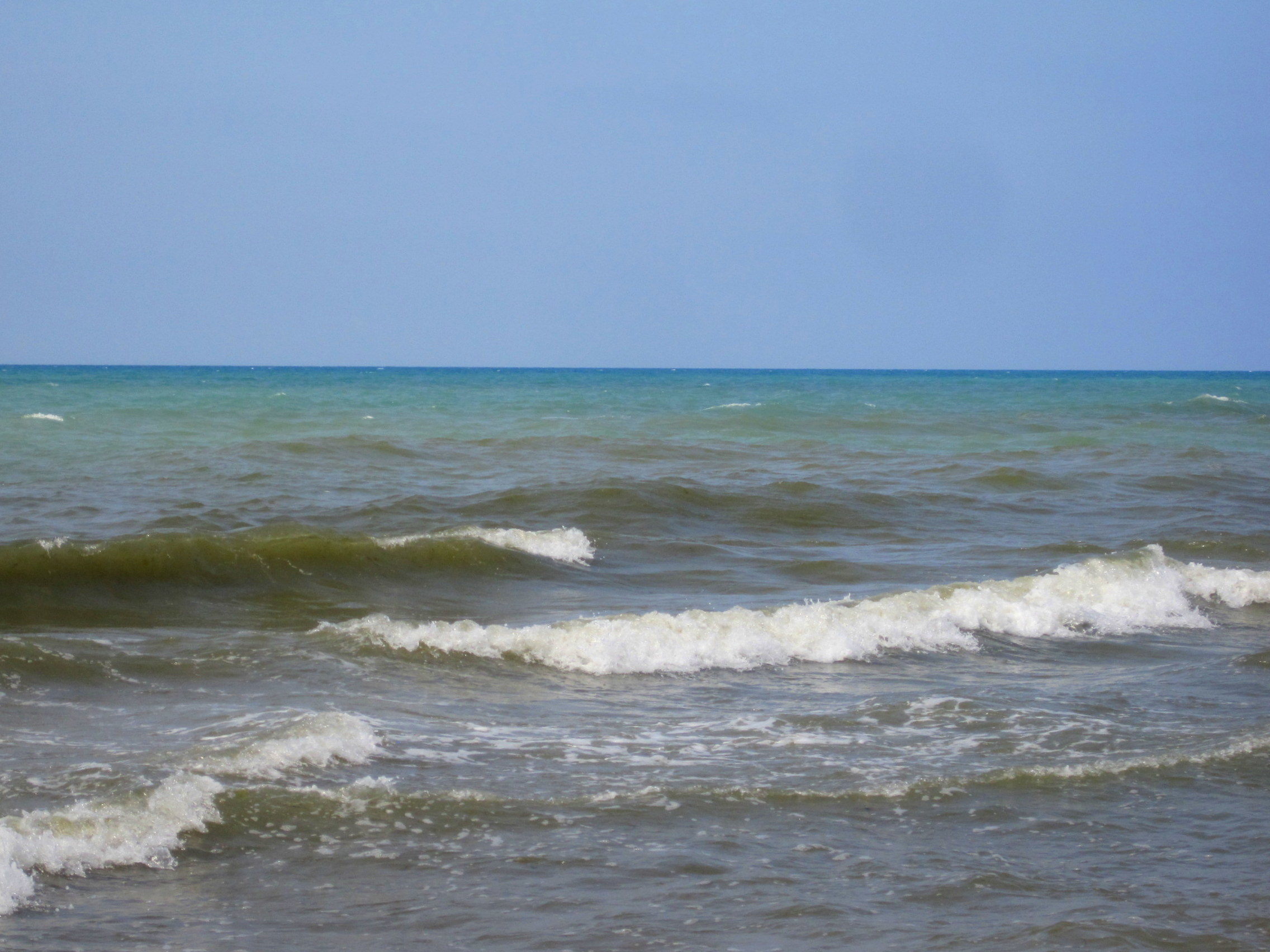 Закручивающейся волна Витязево море
