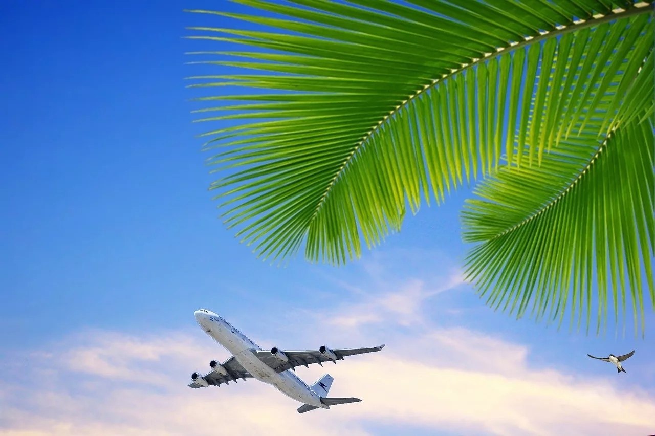 Самолет над пальмами