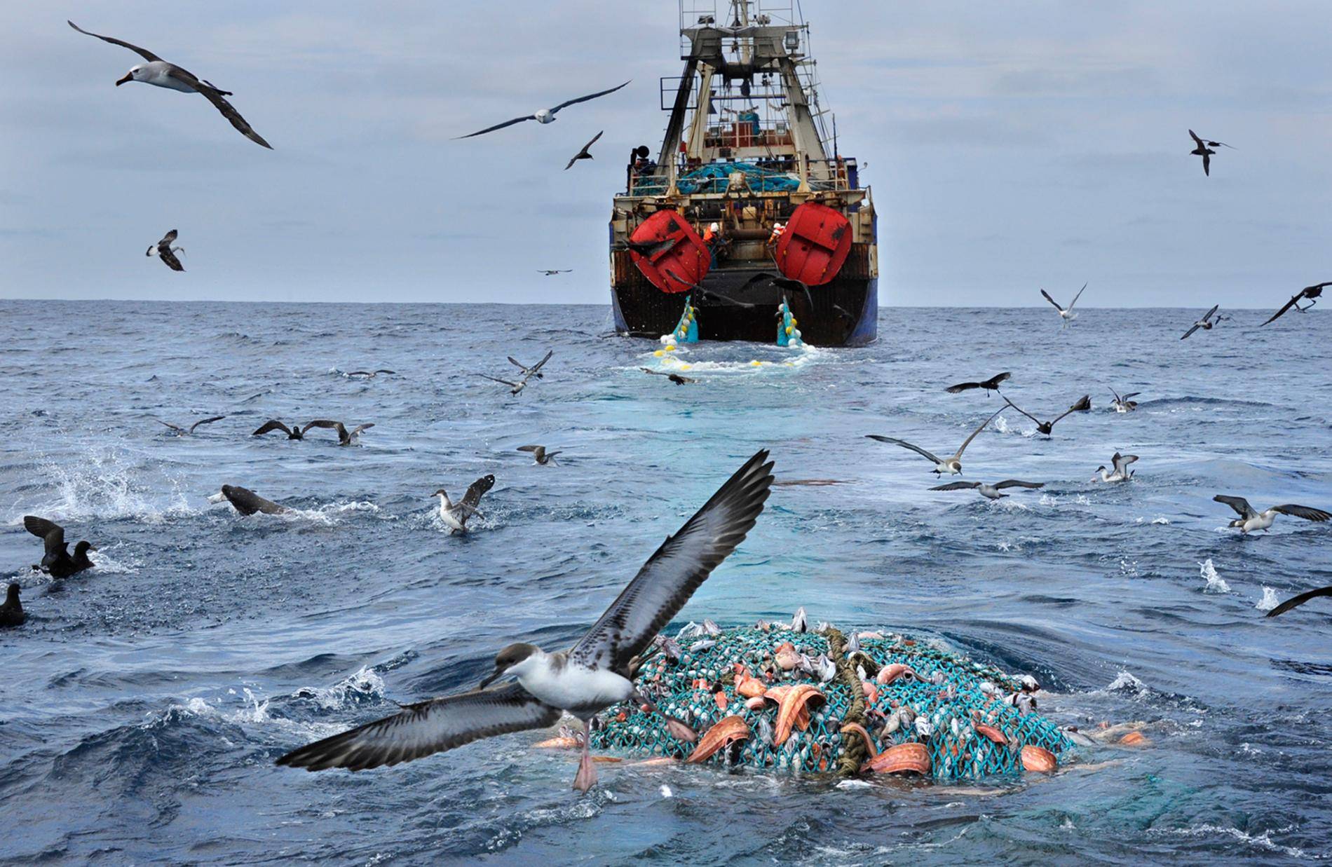 Человек в тихом океане. Загрязнение Северного Ледовитого океана. Чудовища Берингова моря (2013). Берингово море промысел. Потребление биоресурсов мирового океана.