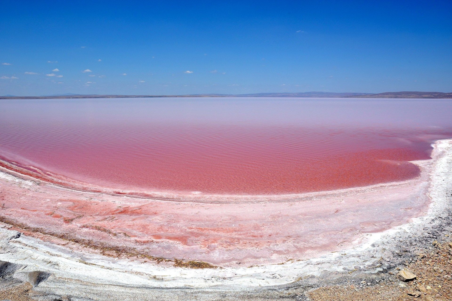 Оленевка Крым розовое озеро