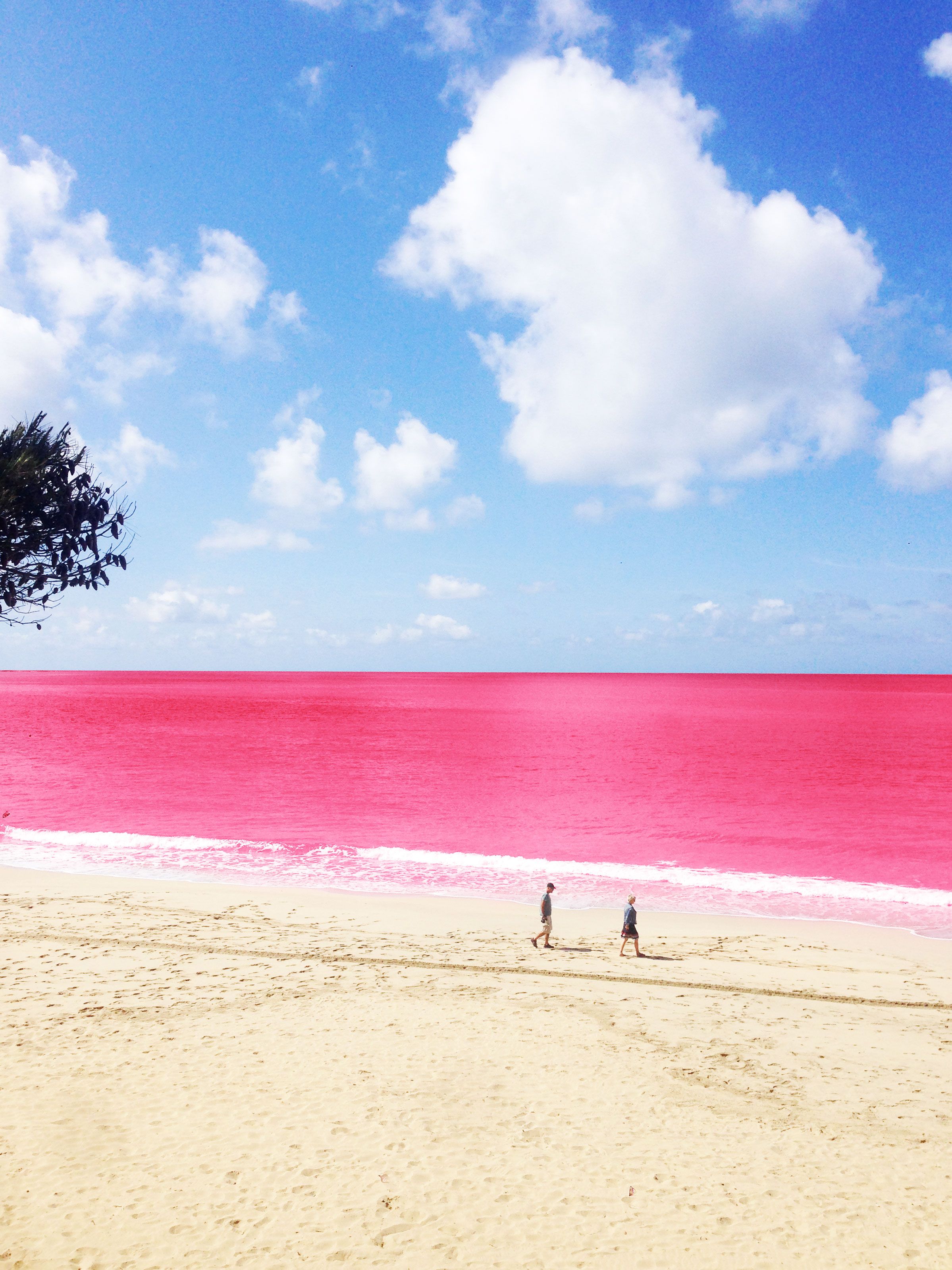 Розовый пляж остров Харбор Багамы