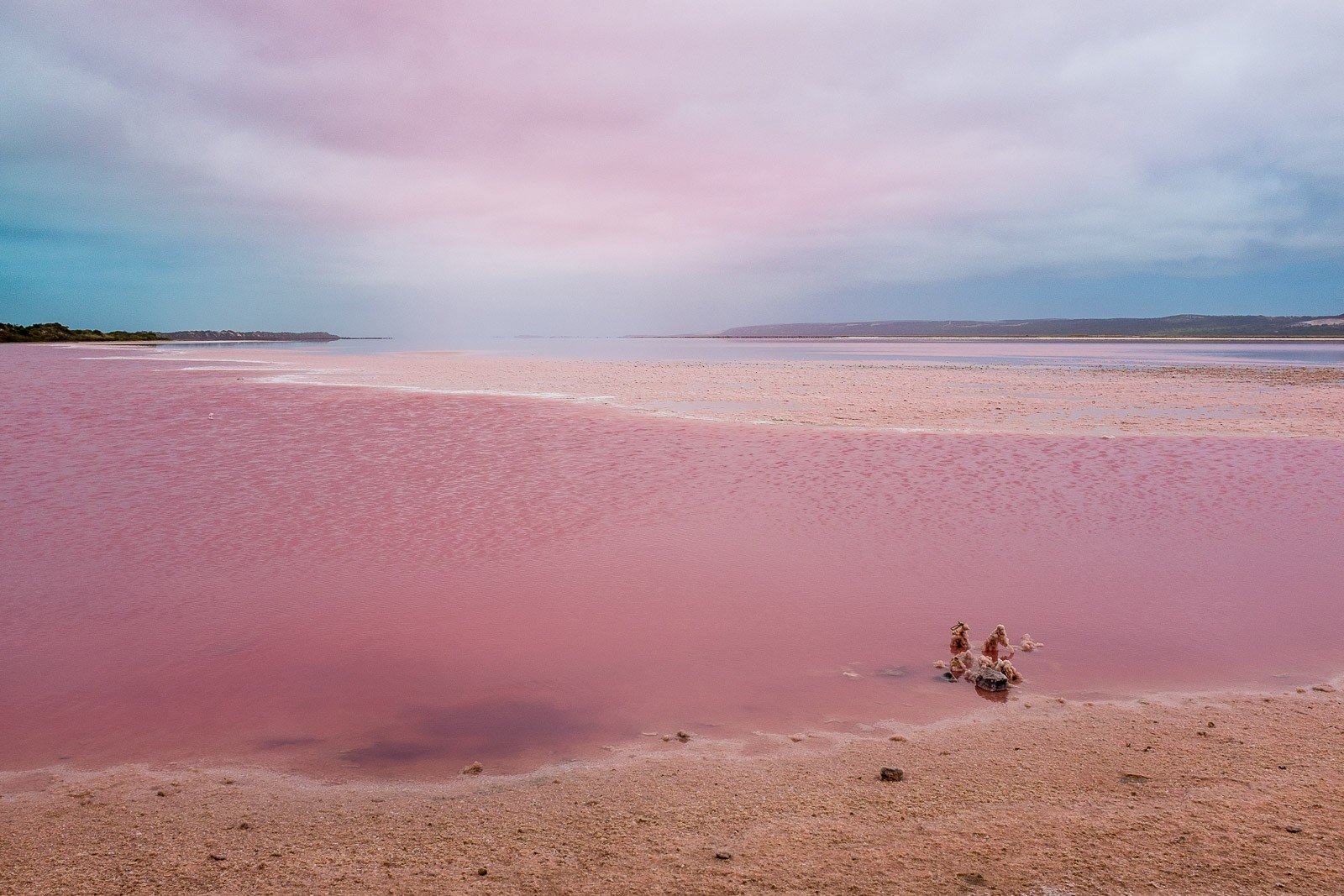 Розовое озеро Алтайский край Яровое