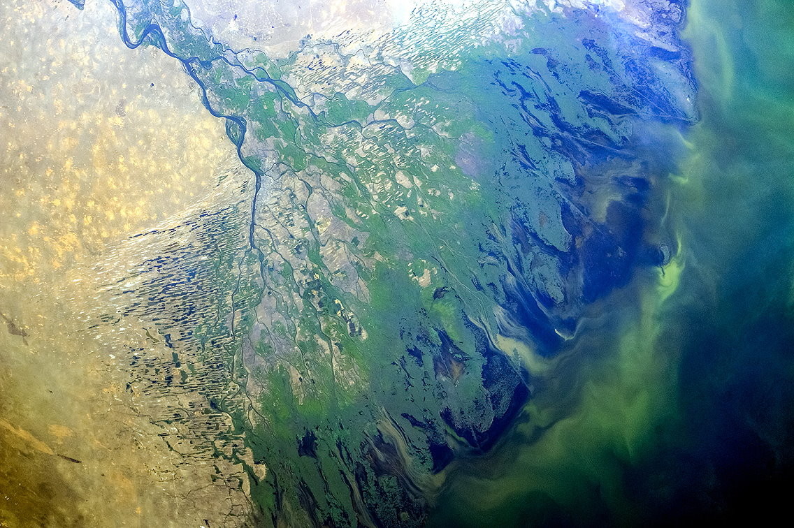 река волга впадает в каспийское море