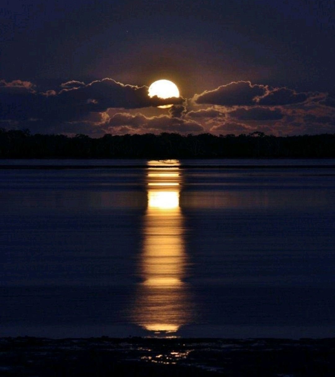Красивые фото на аву природа ночью