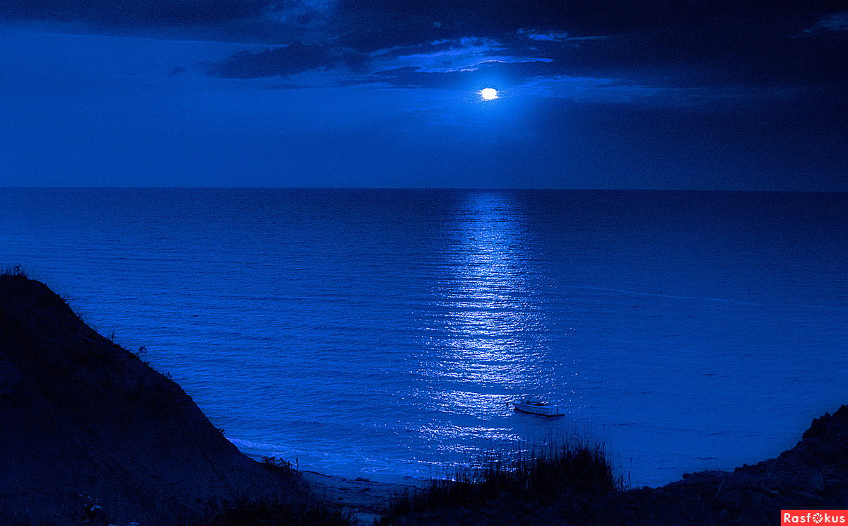 Синяя ночь