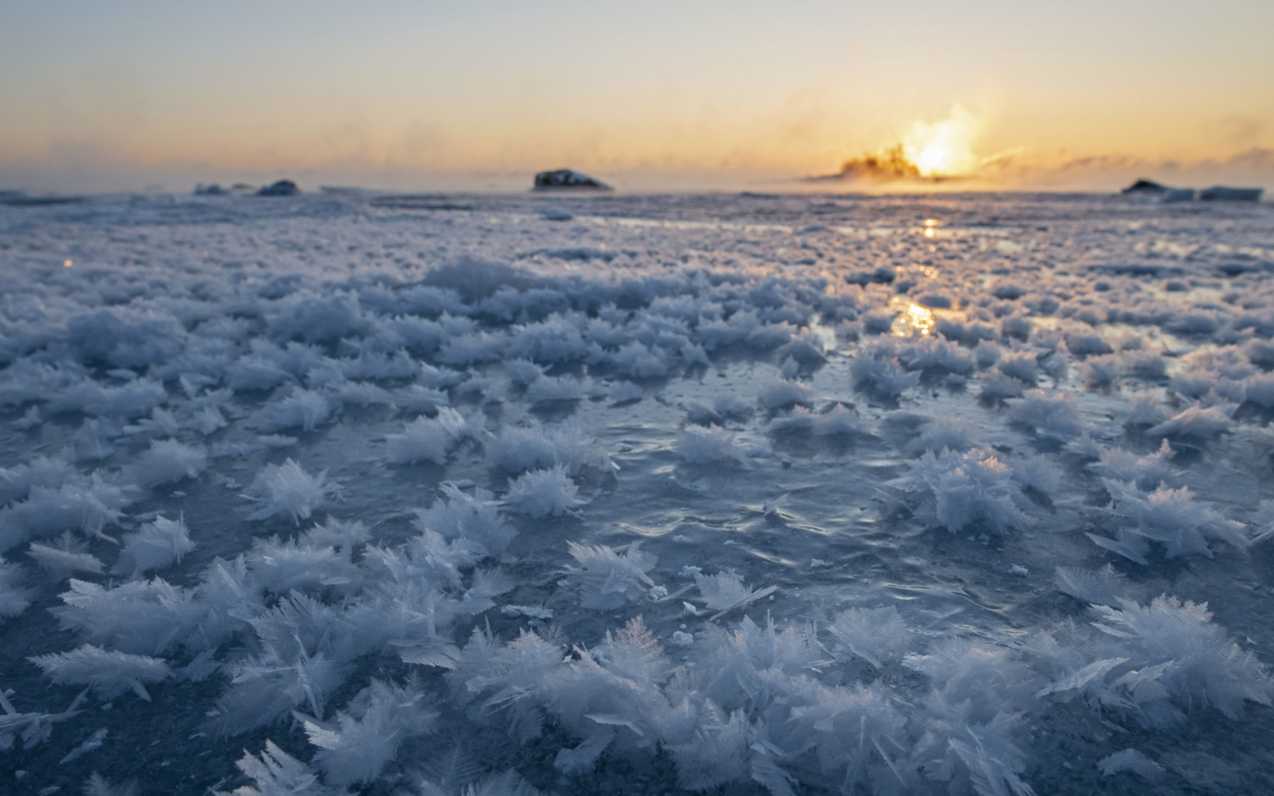 Океан покрытый льдом. Море покрытое льдом. Лед на Балтийском море. Морской лёд. Климат Балтийского моря.