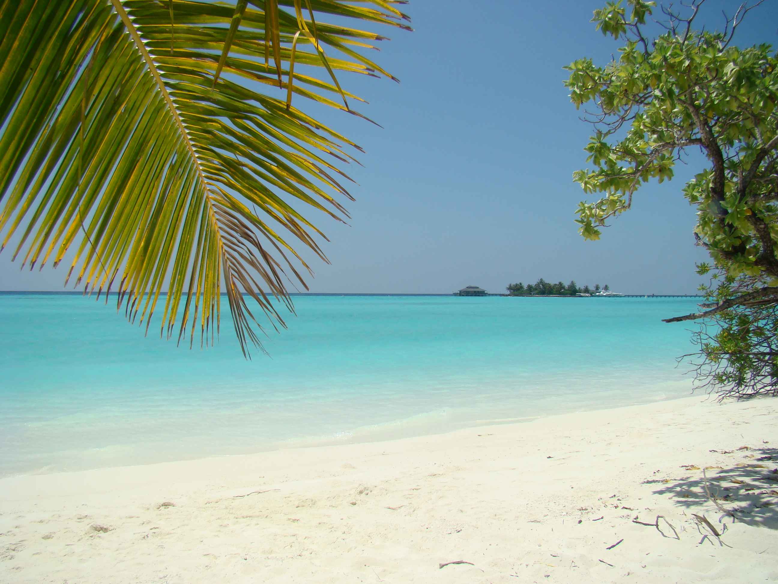 Остров бакарди Доминикана