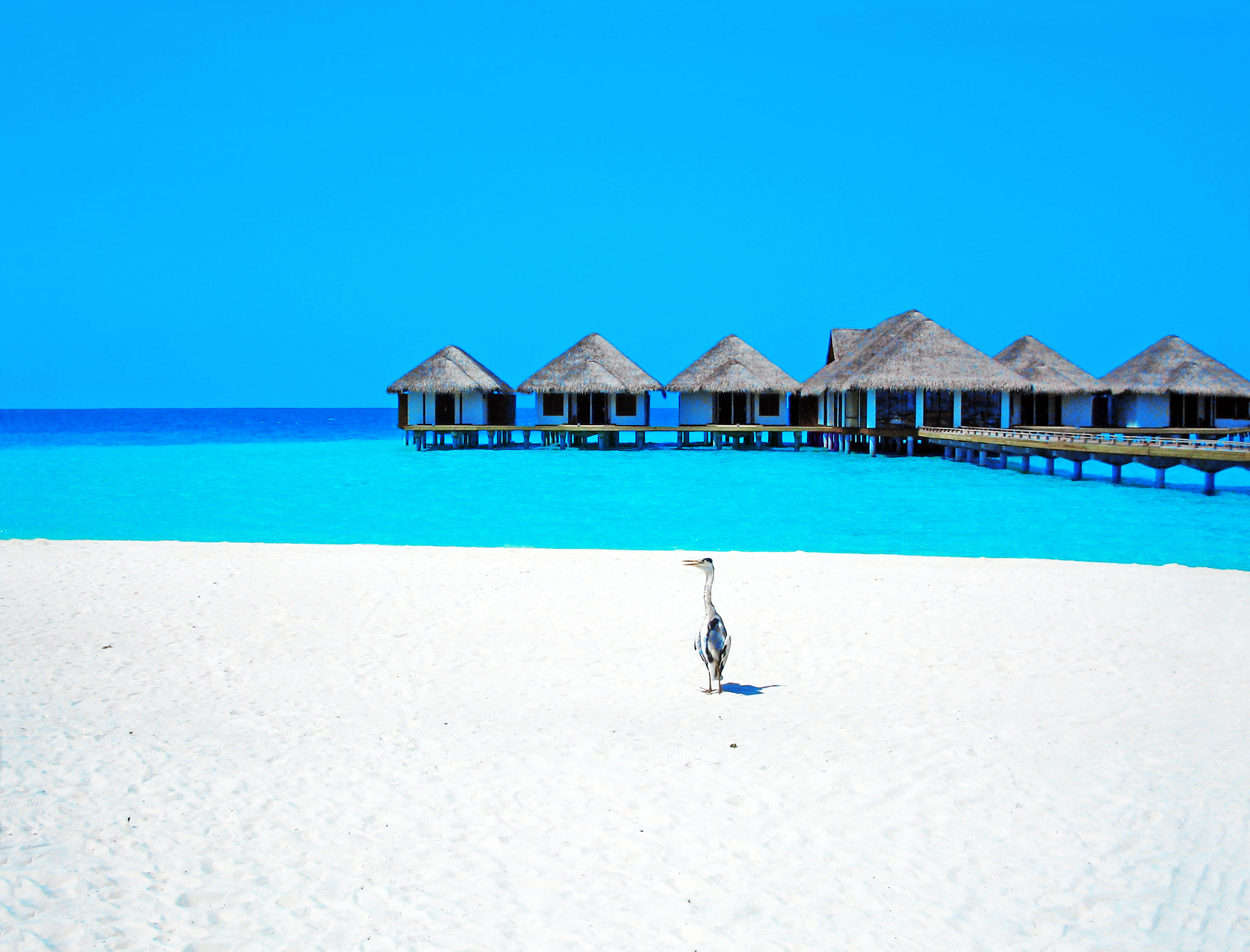 Мальдивы бунгало на пляже