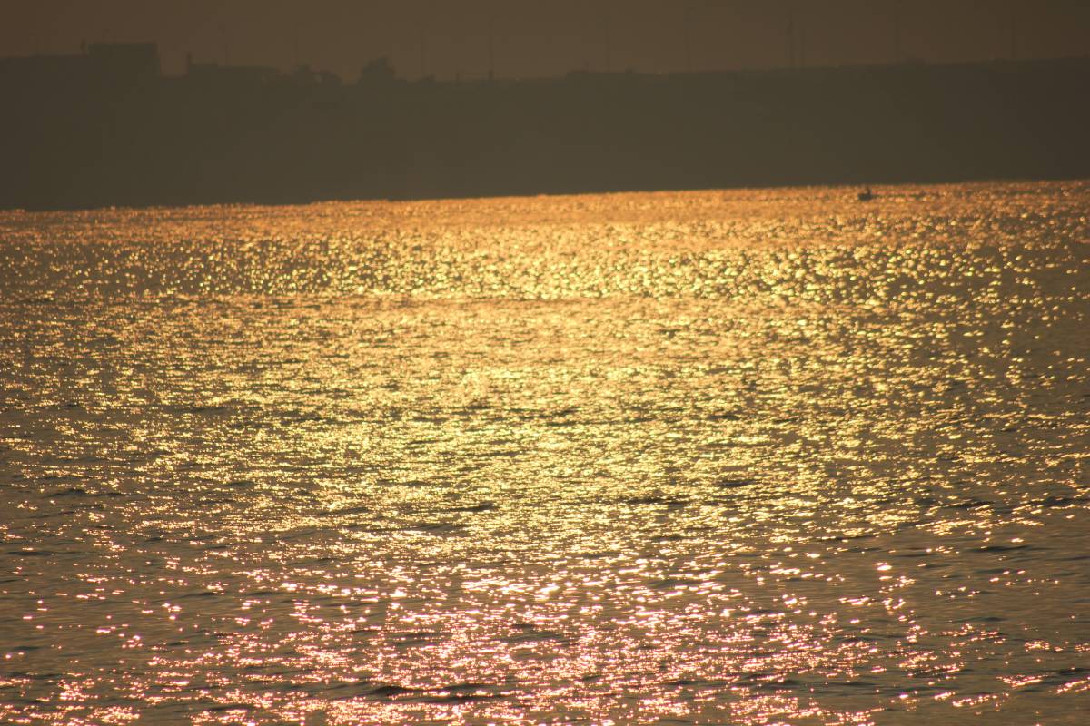 Желтое море