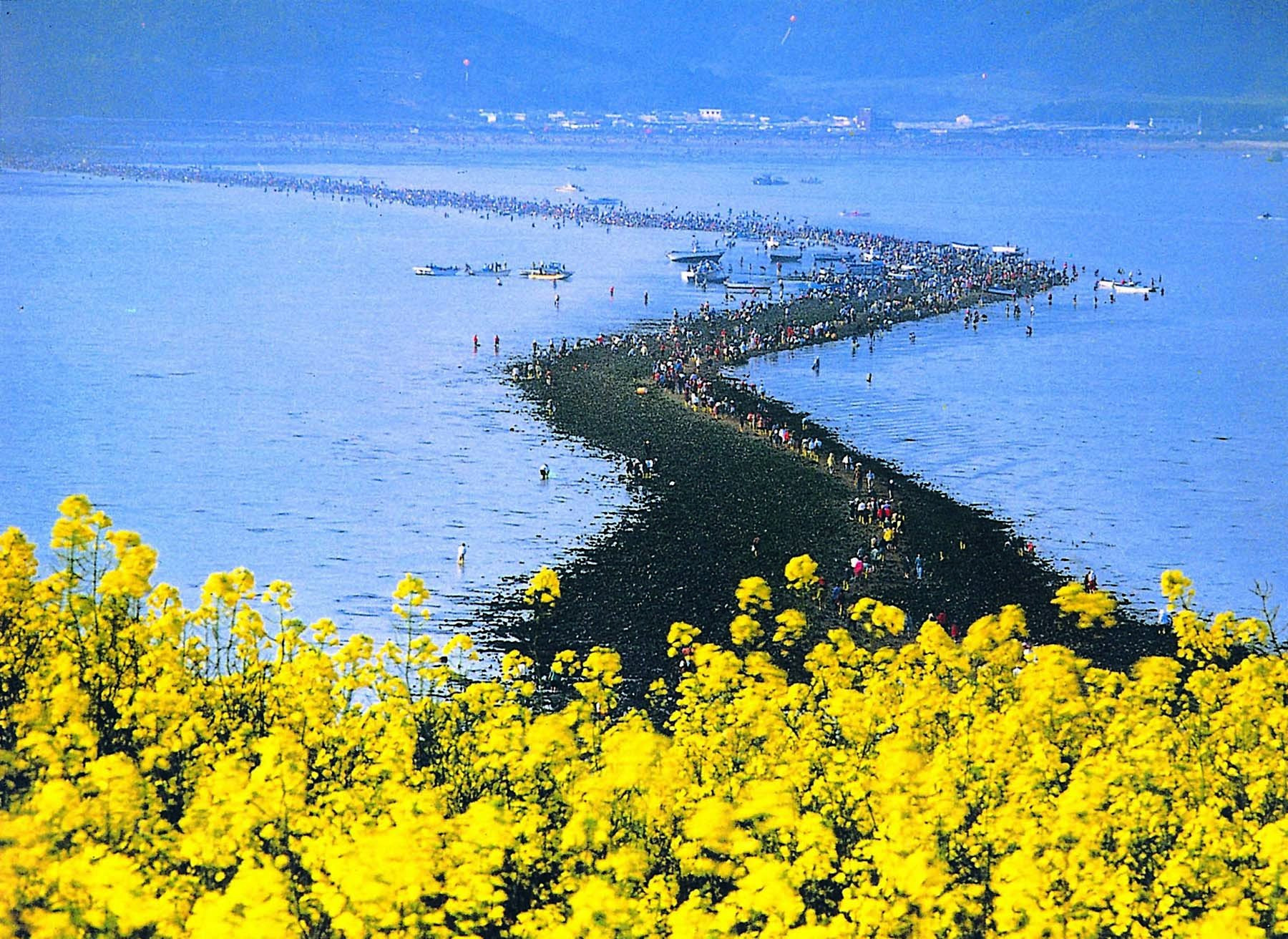 Корея желтое море