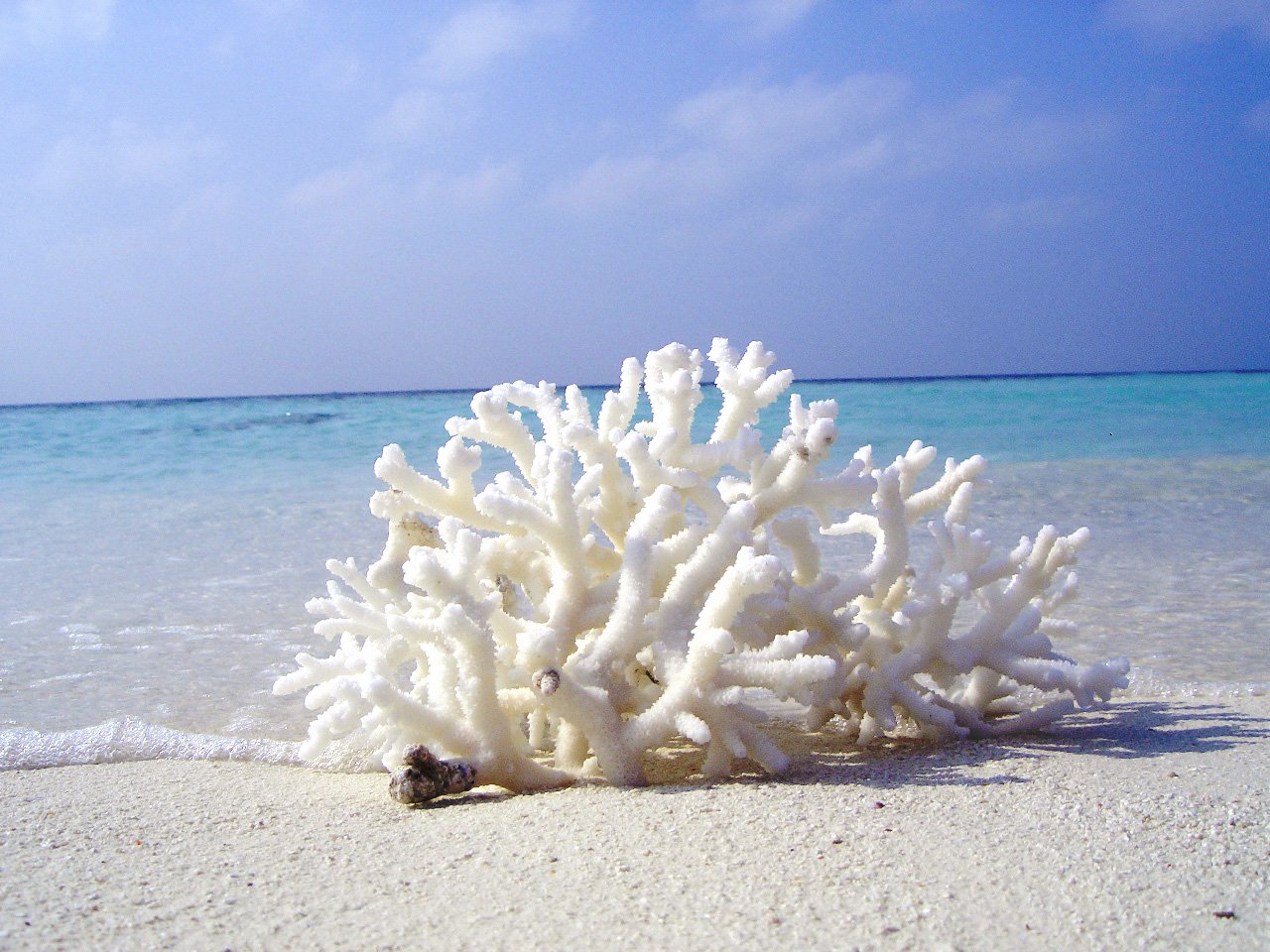 Коралл пляж