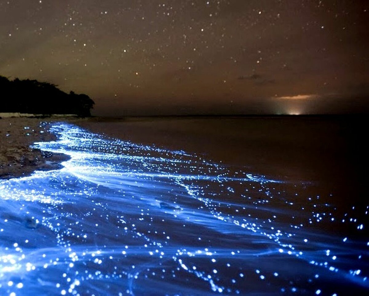 Море звезд на острове Ваадху Мальдивы
