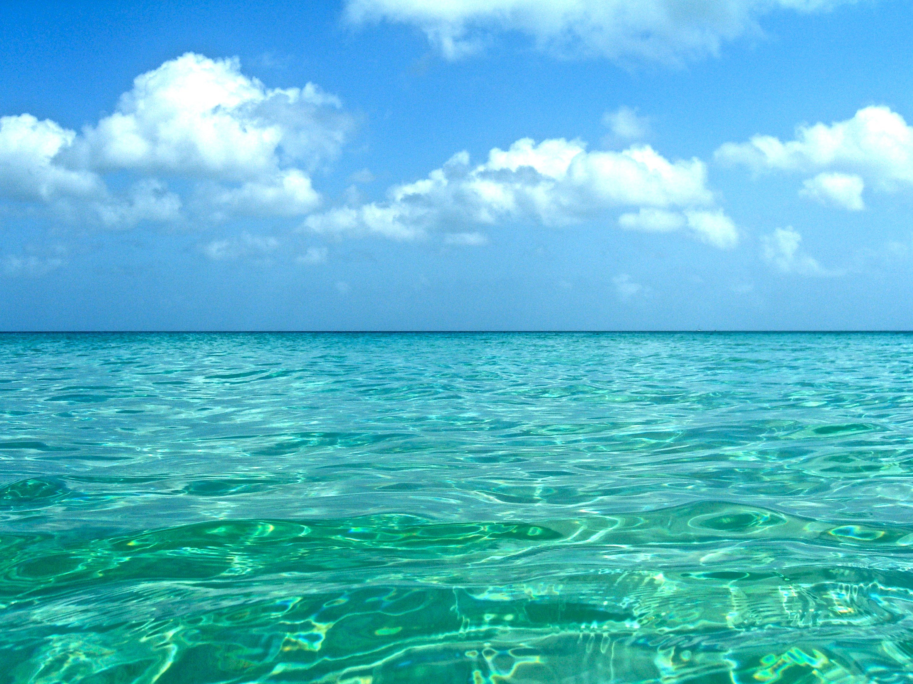 Красивая заставка моря. Прозрачное море. Море прозрачное бирюзовое. Голубое море. Природа море.