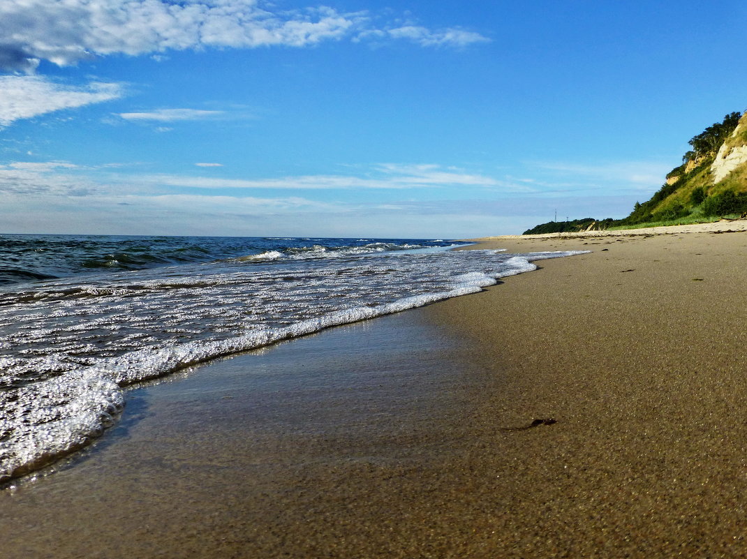 Берег Балтийского моря в Калининграде