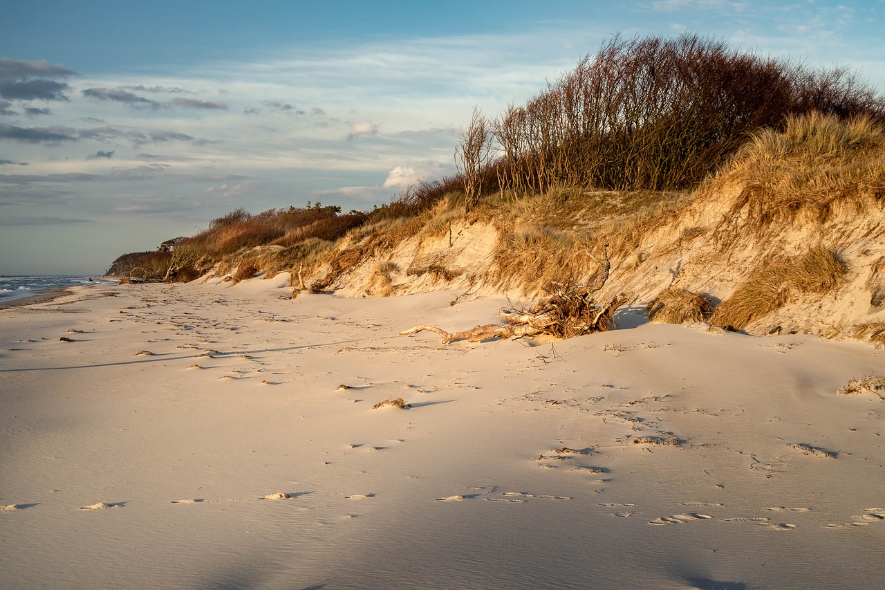 Дюны в Скеде на берегу Балтийского моря