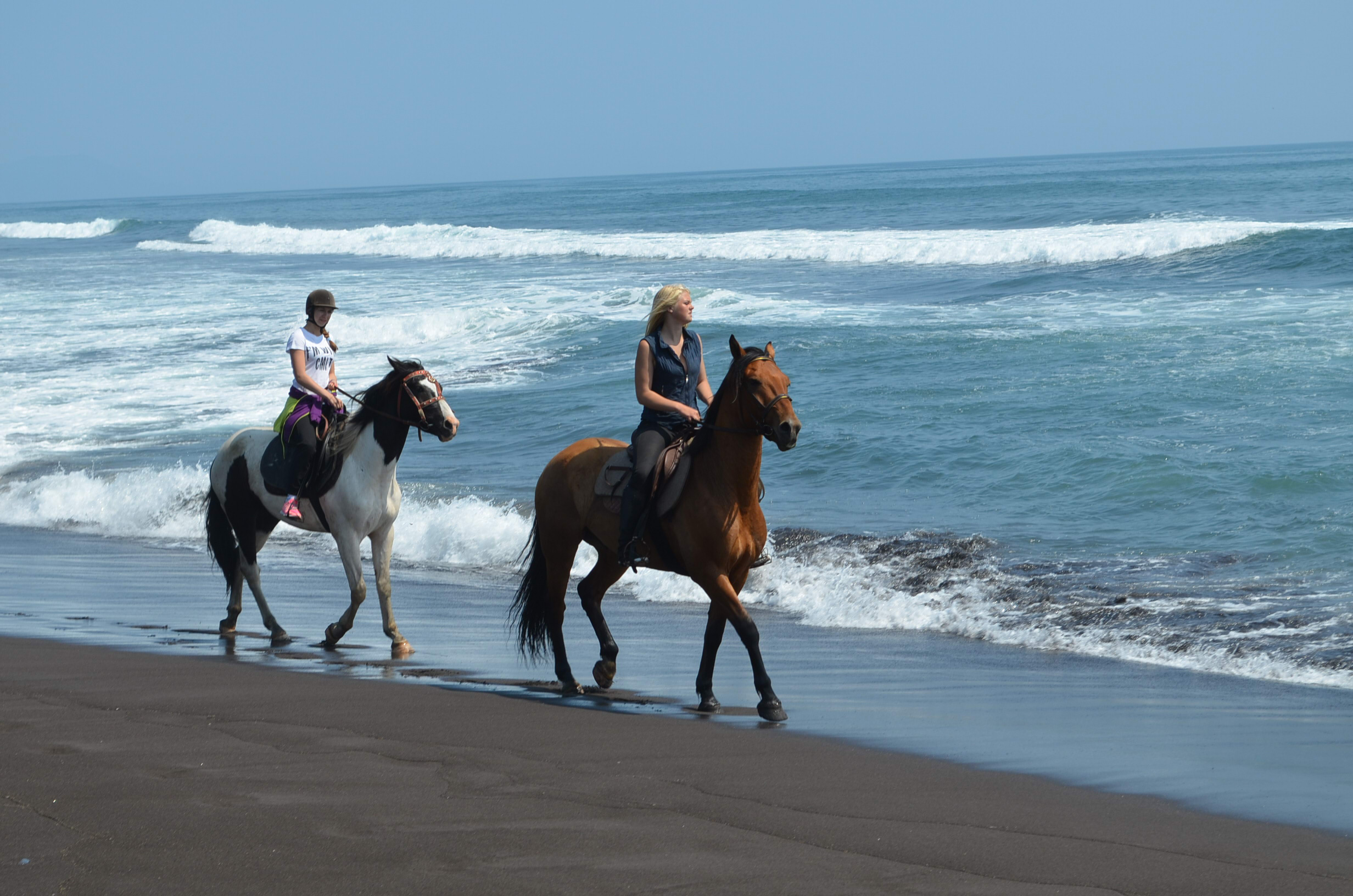 Халактырский пляж конные прогулки