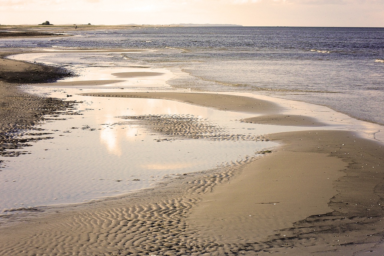 Песчаные пляжи побережья Балтийского моря;