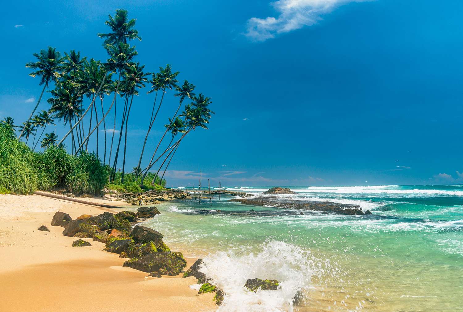 Шри Ланка океан и побережье
