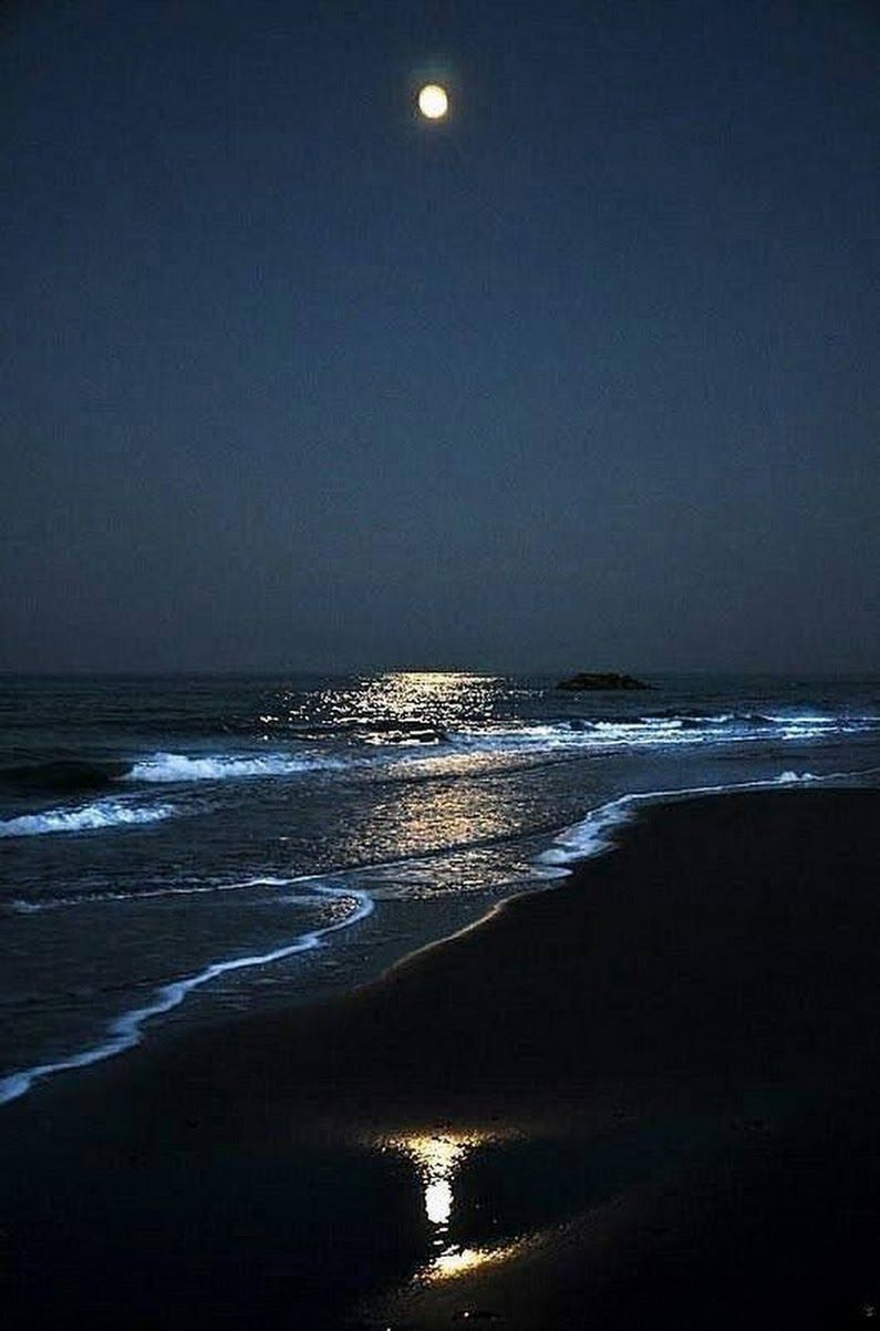 ночь и берег