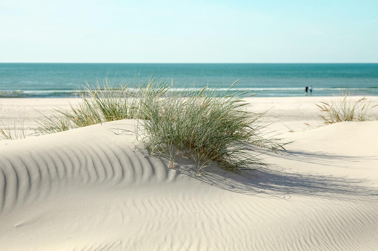 пляж дюны
