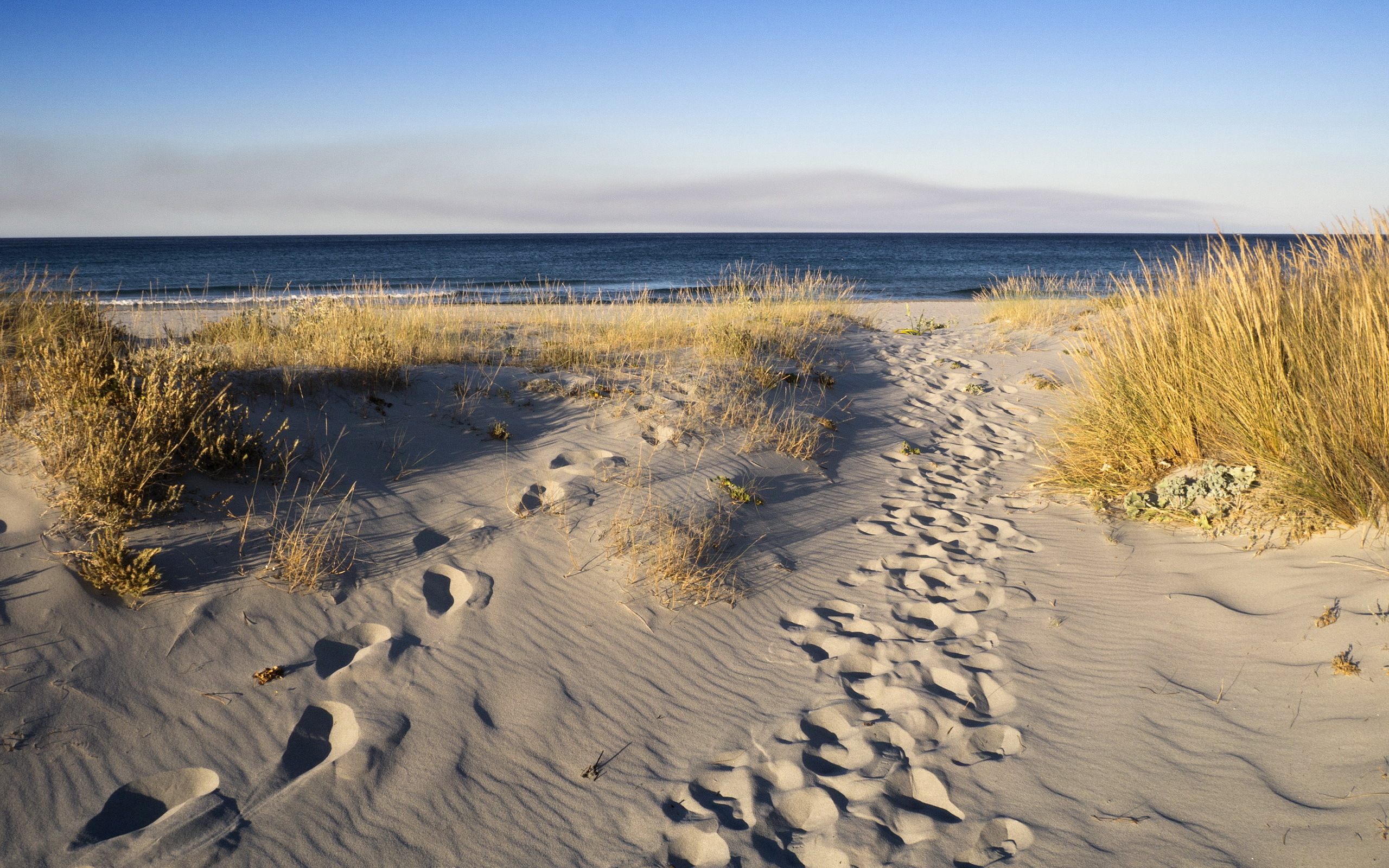 Прибалтика дюны Балтийское море