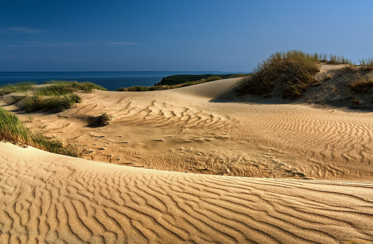 дюны балтийского моря