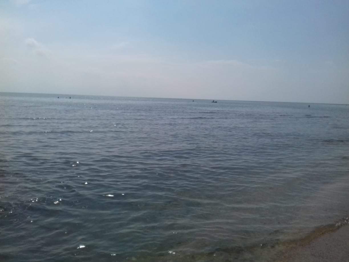 Приморск азовское море