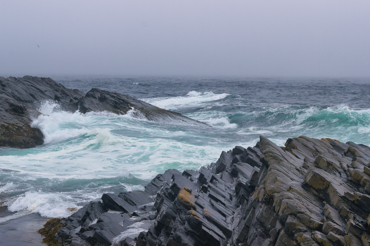 Море муссонов. Баренцево море. Северное море шторм. Баренцево море шторм фото. Баренцево море волны.